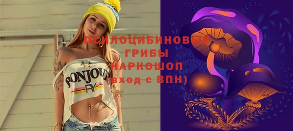 MESCALINE Покачи