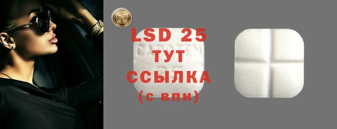 MESCALINE Покачи