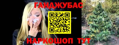 прущие грибы Конаково