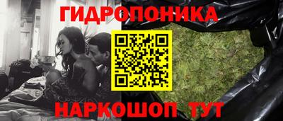 прущие грибы Конаково