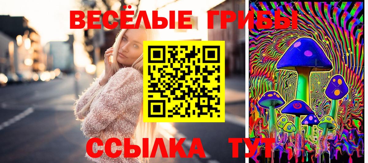 Псилоцибиновые грибы GOLDEN TEACHER Кимовск